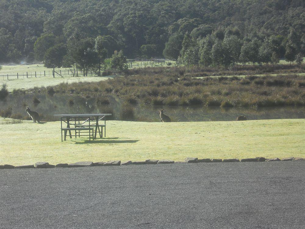 Halls Gap Motel Eksteriør billede