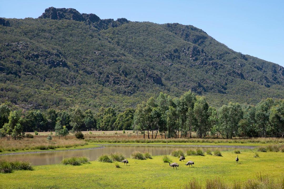 Halls Gap Motel Eksteriør billede