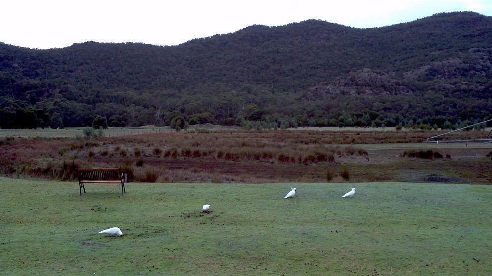 Halls Gap Motel Eksteriør billede